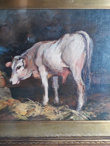 Dipinto olio tela torello - tela,